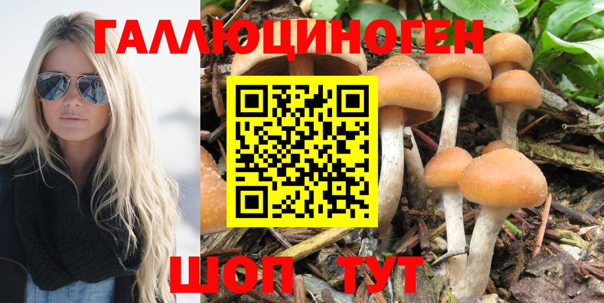 Псилоцибиновые грибы Psilocybe  Вход с VPN  Ртищево 
