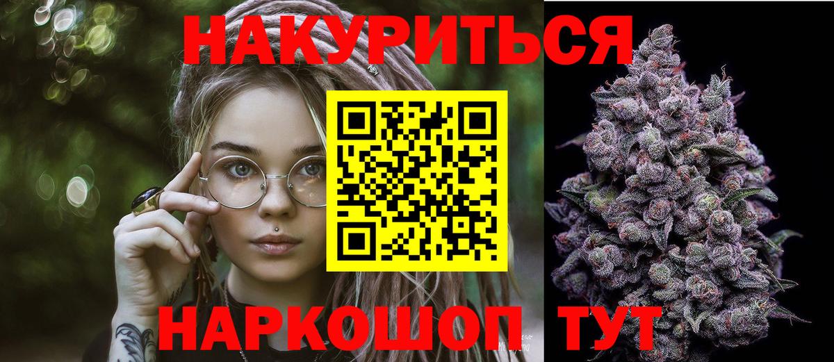Конопля гибрид Ртищево